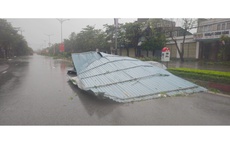 Hà Tĩnh tan hoang sau bão số 10 Bualoi