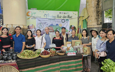 Tropenbos Việt Nam kết nối sinh kế bền vững gắn với bảo tồn rừng