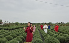 Hoa Tết “bùng nổ” trên TikTok Shop