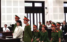 Cựu phó tổng giám đốc Công ty Bách Đạt An lãnh án chung thân