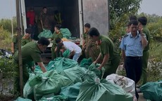 Phát hiện trên 4 tấn mỹ phẩm không rõ nguồn gốc