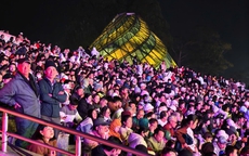 Hình ảnh Đà Lạt rộn ràng khai hội Mai anh đào