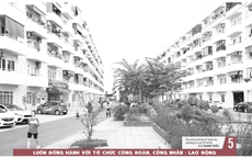 Báo in ngày 17-1: “Ma trận” pháo online: Coi chừng mua nhầm hàng cấm