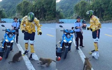 Xôn xao mạng xã hội: Du khách nước ngoài quấn chuối quanh người để “hút” khỉ ở Sơn Trà