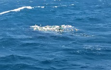 Khánh Hòa: Tàu cá cùng 8 ngư dân mất tích hơn 10 ngày