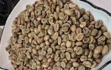 Giá cà phê hôm nay 20-1: Tăng nhẹ