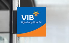 VIB: Lợi nhuận 2025 vượt 9.100 tỉ đồng, vững bước vào giai đoạn tăng trưởng mới