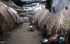 Vĩnh Long: Kiểm tra quán cà phê, phát hiện đôi nam nữ đang mua bán dâm