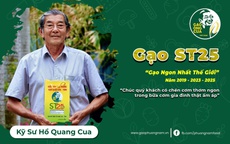Mua gạo ngon ăn Tết – GẠO ST25 lúa tôm (Gạo Ông Cua) chính hãng ở đâu?