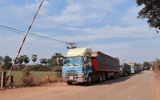 Ùn ứ 700 lô hàng nông sản, thực phẩm nhập khẩu, Bộ Nông nghiệp và Môi trường lên tiếng