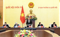 Giới thiệu 145 người ứng cử đại biểu Quốc hội chuyên trách khóa XVI ở Trung ương