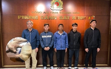 Khởi tố 5 người đàn ông gom hơn 1 tấn heo mắc bệnh dịch tả bán kiếm lời