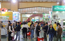 Một hội chợ Tết "hút" nửa triệu lượt khách, bán ra cả tấn giò chả