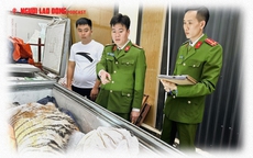 Mua hổ cấp đông giá gần 2 tỉ đồng để nấu cao