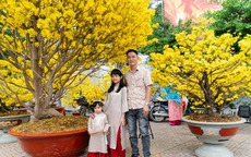 Chiêm ngưỡng cặp mai giảo "khủng" gần 40 năm tuổi, giá 700 triệu đồng ở TPHCM