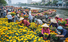 Đời thương hồ chợ hoa "trên bến dưới thuyền"
