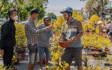 VIDEO: Xả hoa Tết giá 100.000 đồng vào trưa 29 Tết tại TPHCM