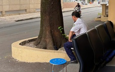 Giữ nhịp xuân cho đời, lặng lẽ đón Tết riêng mình