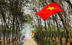 Cuộc thi "Tết xanh": Bỏ điện thoại xuống, tôi ra vườn nhặt nắng gom Xuân