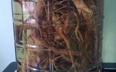 Hai người tử vong sau khi uống rượu ngâm, Bộ Y tế chỉ đạo khẩn