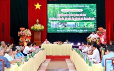 Khánh Hòa báo động nạn săn bắt chim yến, yêu cầu xử lý nghiêm các vi phạm