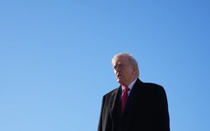 Hơn 800 doanh nghiệp Mỹ đòi ông Donald Trump trả hàng tỉ USD tiền thuế