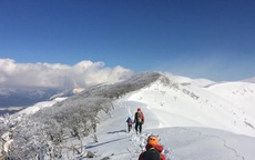 Lạc trên núi tuyết Nhật Bản, một phụ nữ Việt Nam tử nạn