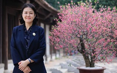 Cái Tết đầu tiên ở Việt Nam qua góc nhìn Giám đốc Quốc gia ILO