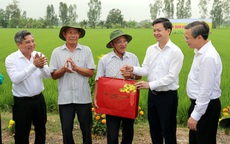 Lãnh đạo TP Cần Thơ trồng cây, thăm đồng và tặng quà nông dân