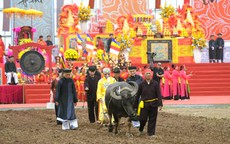 Bí thư Ninh Bình xuống đồng đi cày ở lễ hội Tịch điền 2026