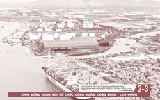 Báo in ngày 24-2: Phấn khởi “xông đất” công sở