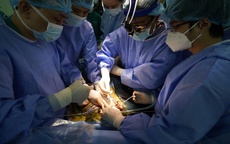 Viết tiếp kỳ tích ghép tạng Việt