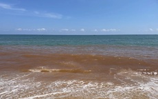 Nước biển ở Gia Lai bất ngờ đổi màu đỏ lạ, người dân lo ngại