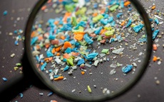 Vi nhựa xuất hiện trong một loạt khối u ung thư