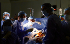 Nhịp đập trở lại, hy vọng nở hoa