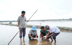 CLIP: Mưa trái mùa gây ngập và thiệt hại hơn 9.000 tấn muối ở Cà Mau