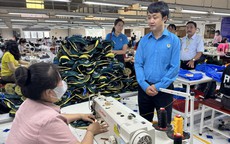 Sức hút lớn dần