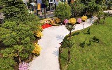 Từ 9 công viên ban đầu, TPHCM nâng lên thành 14 công viên để người dân đến vui xuân