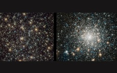 Phát hiện rùng mình về “sinh vật bất tử” của vũ trụ