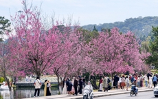 Lâm Đồng quyết tâm tăng trưởng 2 con số trong năm 2026