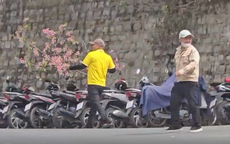 Ngang nhiên chặt nhánh hoa mai anh đào ở Đà Lạt