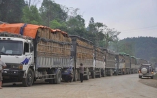 Tạm dừng áp dụng Nghị định 46 về an toàn thực phẩm đến 15-4