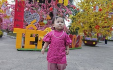 Người dân háo hức với con đường hoa đào, hoa mai ở phường Chánh Hiệp