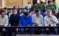 Vụ án Chi cục Thú y vùng VI: Mầm bệnh dịch tả lợn, bệnh gà rù được "phù phép" tuồn lên bàn ăn