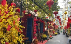 Sắc xuân len lỏi vào từng con hẻm TP HCM
