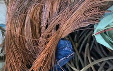 Liên tiếp mất cáp điện công trình, công an mật phục bắt nhóm nghi phạm