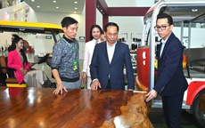 Ngắm phản gỗ quý Cẩm Lai ngàn năm tuổi nặng 6 tấn, giá trị hàng tỉ đồng