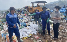 Đà Nẵng tiêu hủy 6.500 bao thuốc lá nhập lậu