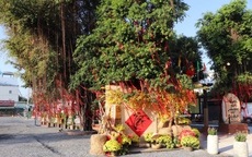 Một phường ở TPHCM làm công viên có sân pickleball, cầu lông