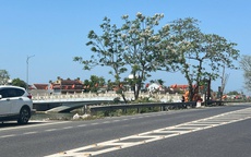 Ông Lững rời đi, mặt bằng cầu Mỹ An được giải phóng để thi công